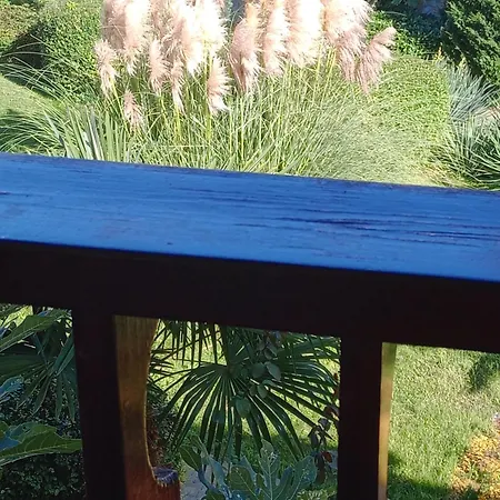 Pecani Perla Del Mar - Coastal Art アパート