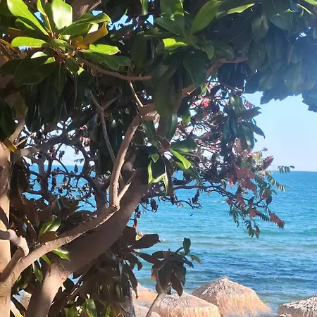 Pecani Perla Del Mar - Coastal Art Residence, Marina Dinevi Etara 1 * 스베티 블라스