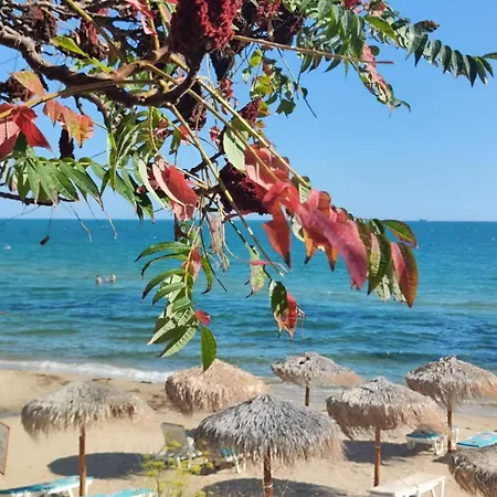 아파트 Pecani Perla Del Mar - Coastal Art Residence, Marina Dinevi Etara 1 스베티 블라스