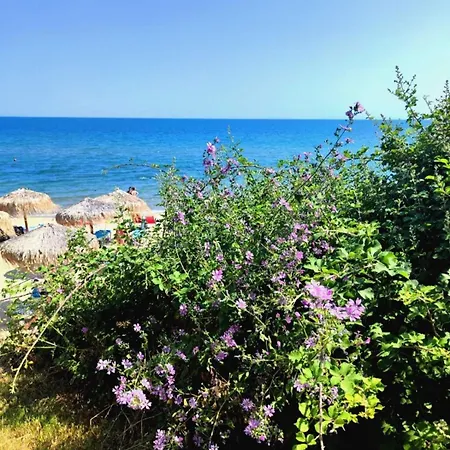 Pecani Perla Del Mar - Coastal Art Residence, Marina Dinevi Etara 1 아파트