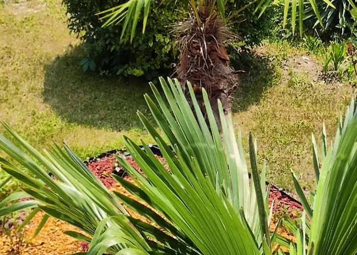 Pecani Perla Del Mar - Coastal Art سفيتي فلاس