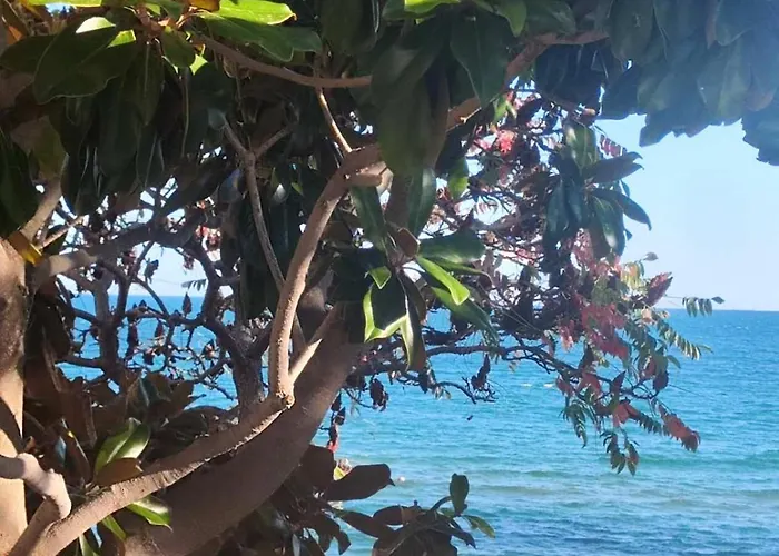 Pecani Perla Del Mar - Coastal Art * Свети Влас