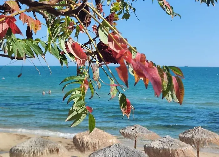 Апартамент Pecani Perla Del Mar - Coastal Art Свети Влас